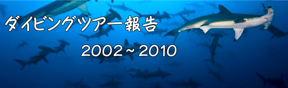 ダイビングツアー報告2002〜2010